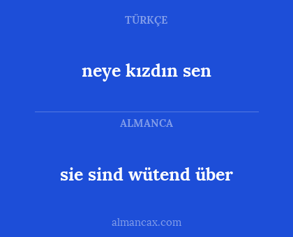 sie sind wütend über - neye kızdın sen