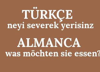 neyi+severek+yerisinz-was+m%C3%B6chten+sie+essen%3F.png