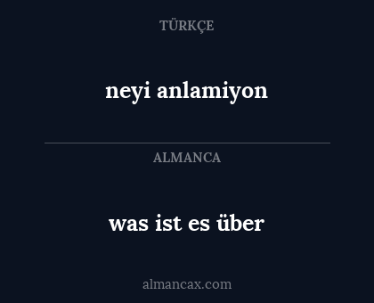 neyi anlamiyon - was ist es über