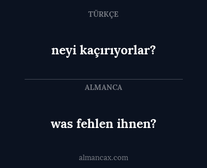 neyi kaçırıyorlar? - was fehlen ihnen?