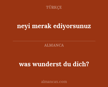 was wunderst du dich? - neyi merak ediyorsunuz