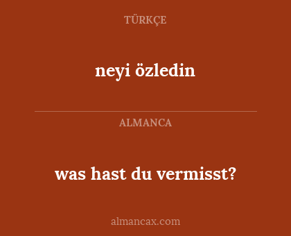 was hast du vermisst? - neyi özledin