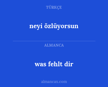 neyi özlüyorsun - was fehlt dir