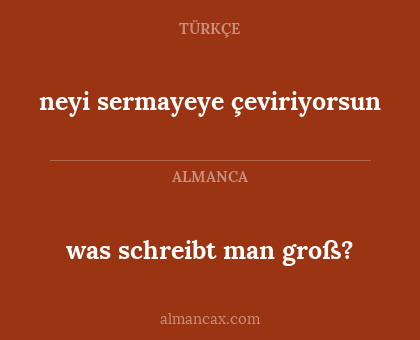neyi sermayeye çeviriyorsun - was schreibt man groß?