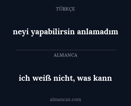 neyi yapabilirsin anlamadım - ich weiß nicht, was kann