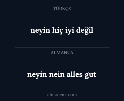 neyin hiç iyi değil - neyin nein alles gut