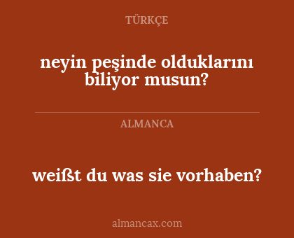 neyin peşinde olduklarını biliyor musun? - weißt du was sie vorhaben?