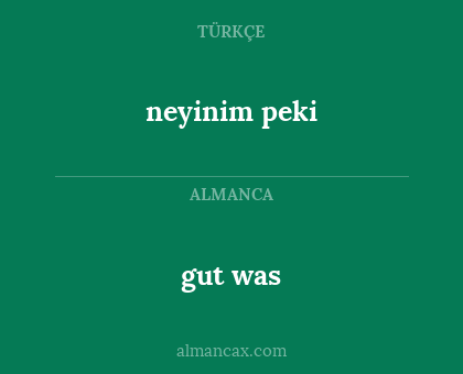 neyinim peki - gut was