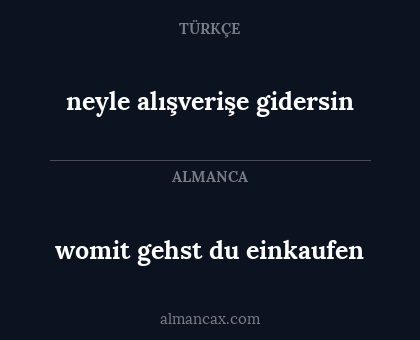 womit gehst du einkaufen - neyle alışverişe gidersin