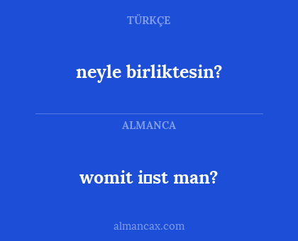womit i̇st man? - neyle birliktesin?