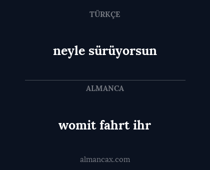neyle sürüyorsun - womit fahrt ihr