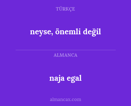 naja egal - neyse, önemli değil