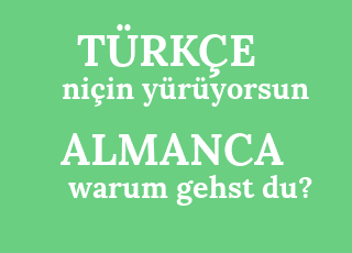 ni%C3%A7in+y%C3%BCr%C3%BCyorsun-warum+gehst+du%3F.png
