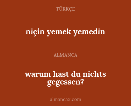 warum hast du nichts gegessen? - niçin yemek yemedin