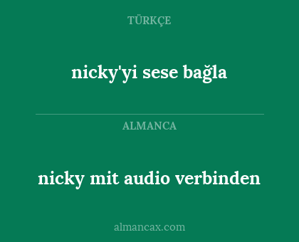 nicky mit audio verbinden - nicky'yi sese bağla