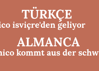 nico+isvi%C3%A7re%26%2339%3Bden+geliyor-nico+kommt+aus+der+schweiz.png