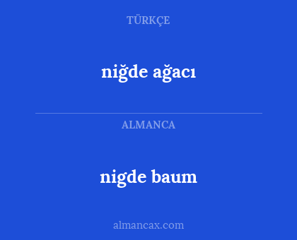nigde baum - niğde ağacı