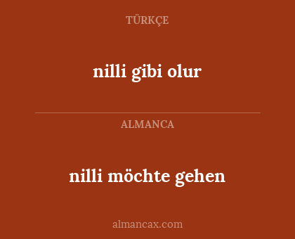 nilli gibi olur - nilli möchte gehen