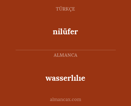 nilüfer - wasserlılıe