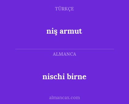 niş armut - nischi birne