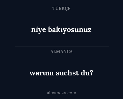 warum suchst du? - niye bakıyosunuz