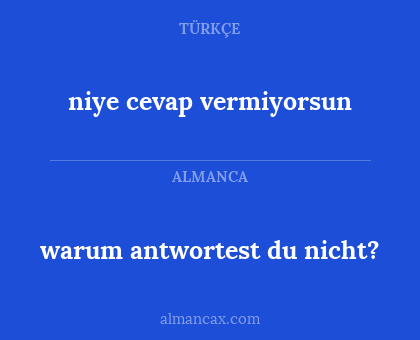 niye cevap vermiyorsun - warum antwortest du nicht?