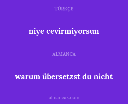 niye cevirmiyorsun - warum übersetzst du nicht