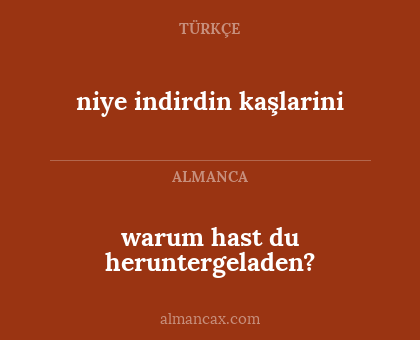 warum hast du heruntergeladen? - niye indirdin kaşlarini