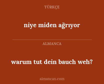niye miden ağrıyor - warum tut dein bauch weh?