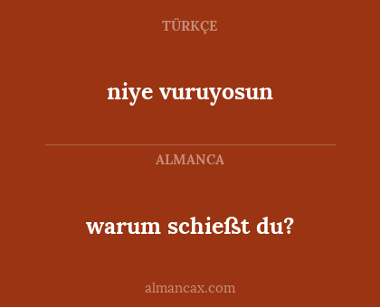 warum schießt du? - niye vuruyosun