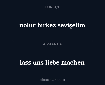 lass uns liebe machen - nolur birkez sevişelim