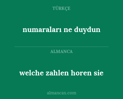 welche zahlen horen sie - numaraları ne duydun