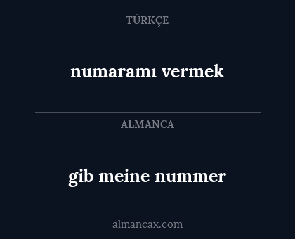 numaramı vermek - gib meine nummer