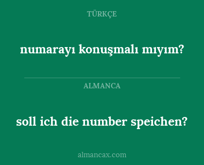numarayı konuşmalı mıyım? - soll ich die number speichen?