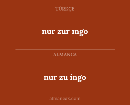 nur zu ingo - nur zur ıngo