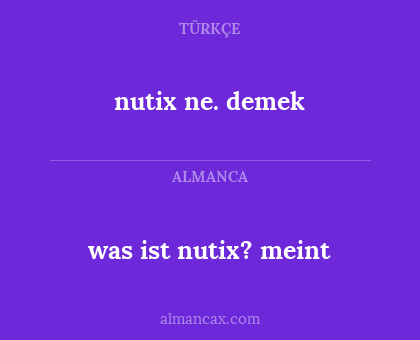 was ist nutix? meint - nutix ne. demek