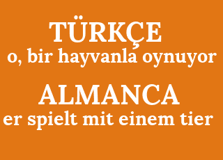 o%2C+bir+hayvanla+oynuyor-er+spielt+mit+einem+tier.png