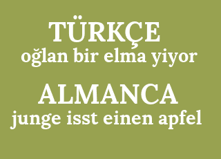 o%C4%9Flan+bir+elma+yiyor-junge+isst+einen+apfel.png
