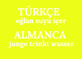 о%Ц4%9Флан+суиу+и%Ц3%А7ер-јунге+тринкт+вассер.пнг