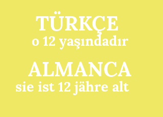 o+12+ya%C5%9F%C4%B1ndad%C4%B1r-sie+ist+12+j%C3%A4hre+alt.png