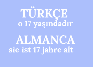 o+17+ya%C5%9F%C4%B1ndad%C4%B1r-sie+ist+17+jahre+alt.png