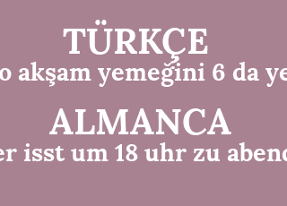o+ak%C5%9Fam+yeme%C4%9Fini+6+da+yer-er+isst+um+18+uhr+zu+abend.png