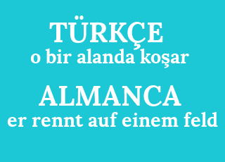 o+bir+område+ko%C5%9Far-er+rennt+auf+einem+feld.png