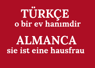 o+bir+ev+han%C4%B1mdir-sie+ist+eine+hausfrau.png