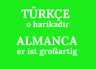 o+harikad%C4%B1r-er+ist+gro%C3%9Fartig.png