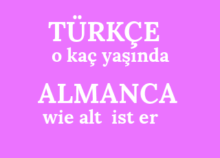 Wie alt sind sie транскрипция. Alt ist. Wie alt bist du ответ на вопрос. Tiere немецкий ответы.