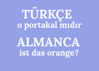 o+portakal+m%C4%B1d%C4%B1r-ist+das+orange%3F.png
