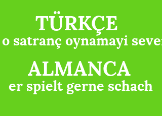 o+satran%C3%A7+oynamayi+sever-er+spielt+gerne+schach.png
