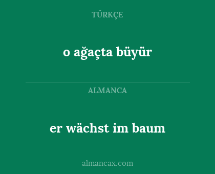 er wächst im baum - o ağaçta büyür