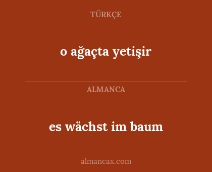 es wächst im baum - o ağaçta yetişir